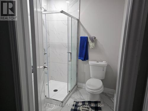 132 Sunset Way, Thorold, ON - Indoor Photo Showing Bathroom