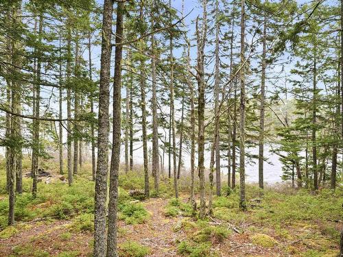 442 Narrows Road, Labelle, NS 