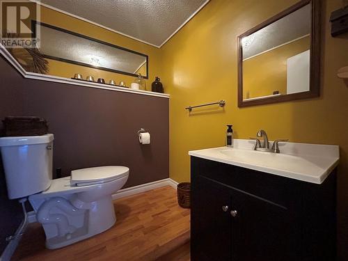 58 Forest Road, Milltown, NL - Indoor Photo Showing Bathroom
