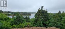 13 King's Road Marystown, NL A0E 2M0