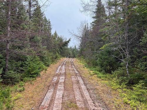 Red Point Road, Red Point, NS 