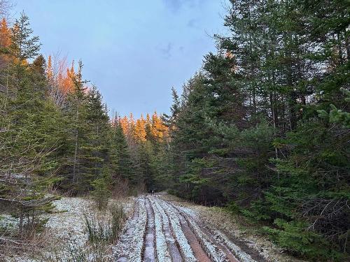 Red Point Road, Red Point, NS 