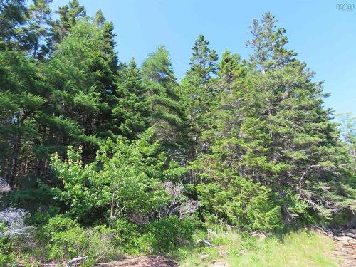 76 Acres Perry Lane, Lennox Passage, NS 