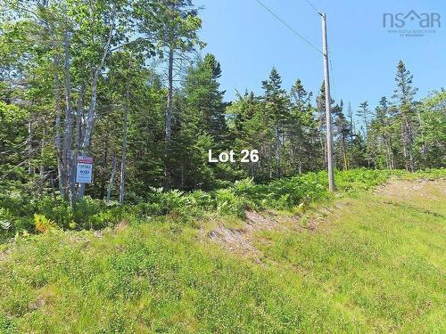 76 Acres Perry Lane, Lennox Passage, NS 