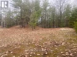 LOT 514 TALL PINES DRIVE Tiny, ON L9M 0H7