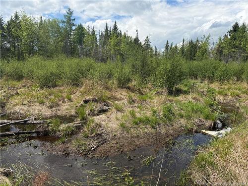 0 Benton Rd, Benton, NB 