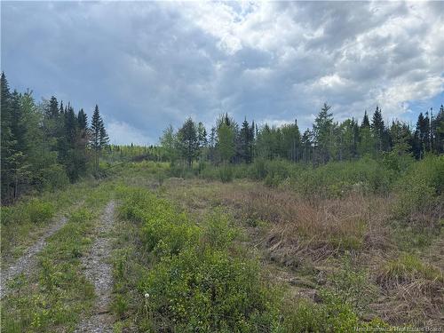 0 Benton Rd, Benton, NB 
