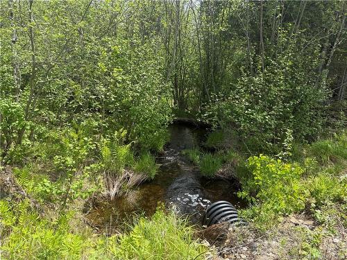 0 Benton Rd, Benton, NB 