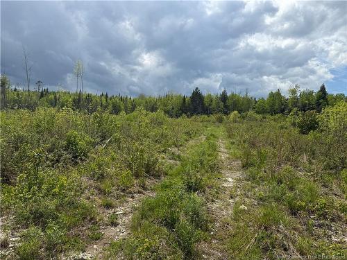 0 Benton Rd, Benton, NB 