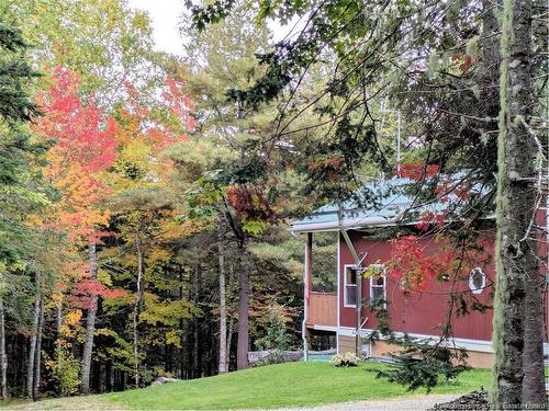 597 Birch Ridge Rd, Arthurette, NB 