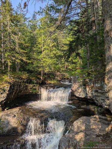 597 Birch Ridge Rd, Arthurette, NB 