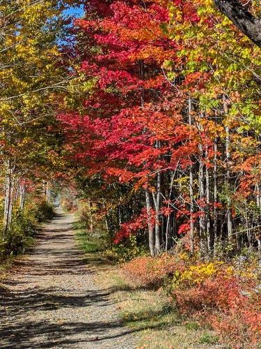 597 Birch Ridge Rd, Arthurette, NB 