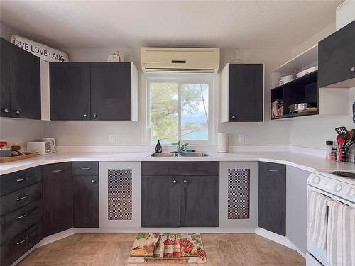 141 Main Street, Rivers, MB - Indoor Photo Showing Kitchen With Double Sink