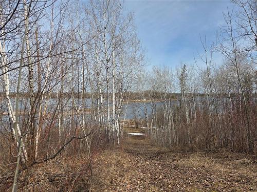 32 Granite Point Road, Great Falls, MB 