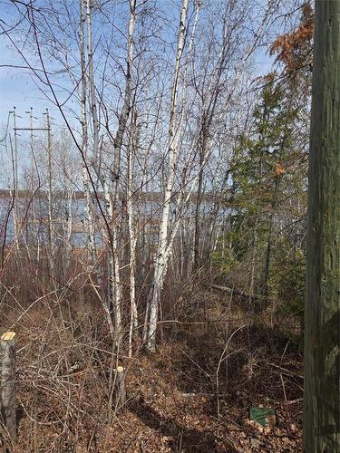 32 Granite Point Road, Great Falls, MB 