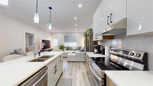 624 Magnan Street, Winnipeg, MB - Indoor Photo Showing Kitchen With Double Sink With Upgraded Kitchen