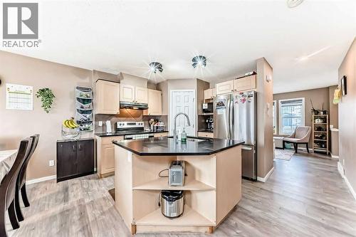 KITHCEN SIDE VIEW - 32 Saddlebrook Place Ne, Calgary, AB - Indoor Photo Showing Kitchen With Double Sink