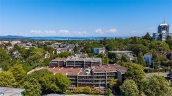 205-1419 Stadacona Ave Victoria, BC V8S 5J3