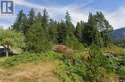 468 Chamiss Cres Gold River, BC V0P 1G0
