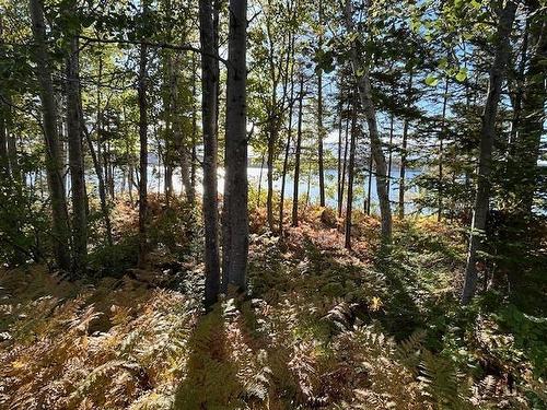 935 Big Harbour Road, Big Harbour, NS - Outdoor With View