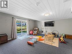 Lower Level Rec Room - 