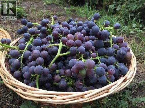 363 Northwind Drive, Vernon, BC - Outdoor