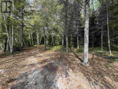 Pcl 4376 Laforme, Dalton, ON - Outdoor With View