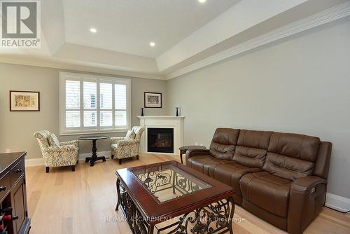 49 Riveroaks Drive, Hamilton, ON - Indoor Photo Showing Living Room With Fireplace