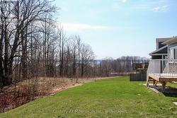 View from Back yard - 