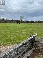 Back yard - 