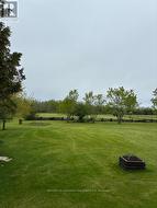 View of Back Yard - 