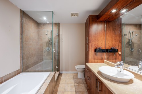 Salle de bains - 3545 Place Cabral, Brossard, QC - Indoor Photo Showing Bathroom