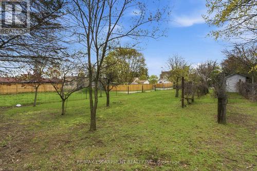 113 North Park Street, Brantford, ON - Outdoor