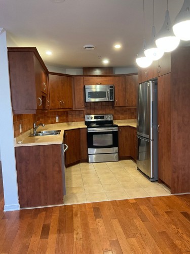 Kitchen - 304-14370 Rue Jolicoeur, Montréal (Pierrefonds-Roxboro), QC - Indoor Photo Showing Kitchen