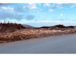 Parcel 1 Horizon Drive Holyrood, NL A0A 2R0