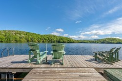 227 Ch. Bréard  Mont-Tremblant, QC J8E 1R1