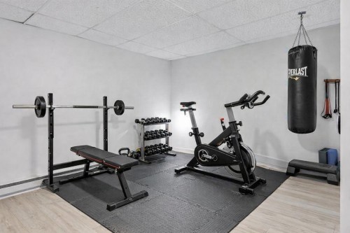 Salle d'exercice - 605 Ch. De Montfort, Saint-Adolphe-D'Howard, QC - Indoor Photo Showing Gym Room