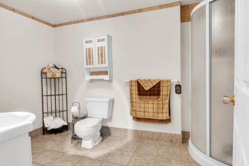 Salle de bains - 605 Ch. De Montfort, Saint-Adolphe-D'Howard, QC - Indoor Photo Showing Bathroom