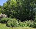289 Cedar St, Moncton, NB 