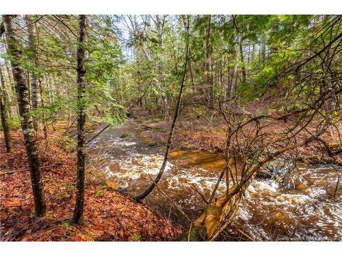 81 Mccain Dr, Waasis, NB 