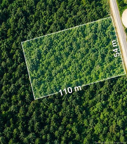Lot Monteagle Rd, Salisbury, NB 