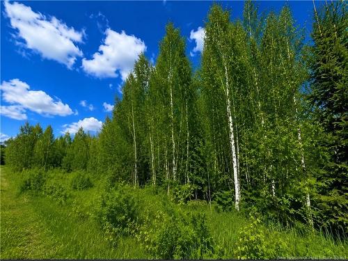 Lot Monteagle Rd, Salisbury, NB 