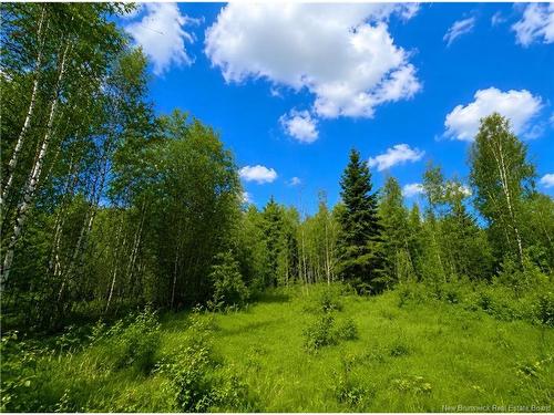 Lot Monteagle Rd, Salisbury, NB 