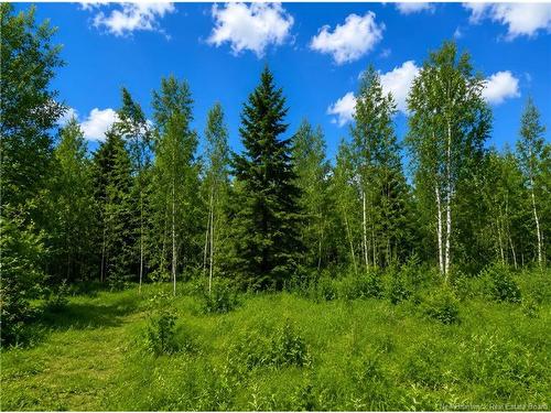 Lot Monteagle Rd, Salisbury, NB 
