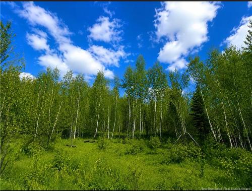 Lot Monteagle Rd, Salisbury, NB 
