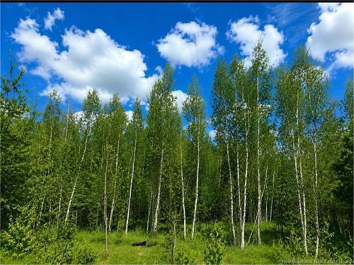 Lot Monteagle Rd, Salisbury, NB 