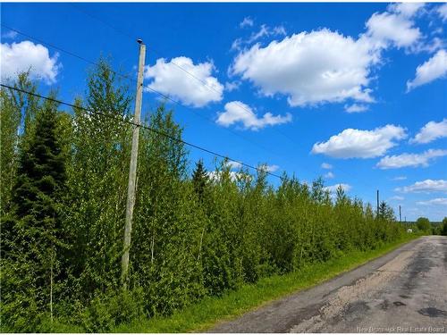 Lot Monteagle Rd, Salisbury, NB 