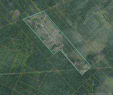 - South Napan - 4 Interior Woodlot Parcels Napan, NB E1N 4W5