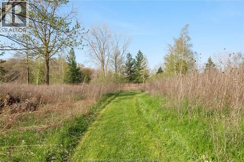 5689 Third Line, Chatham-Kent, ON - Outdoor With View