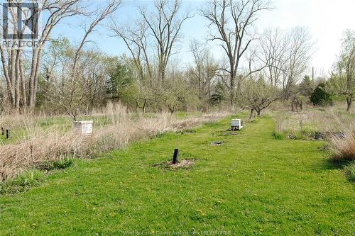 5689 Third Line, Chatham-Kent, ON - Outdoor With View